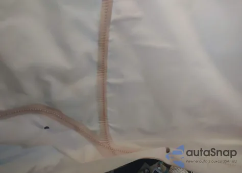 2020 Chevrolet Equinox Fwd 2Fl z USA, uszkodzony, nr VIN 3GNAXJEV0LL277644